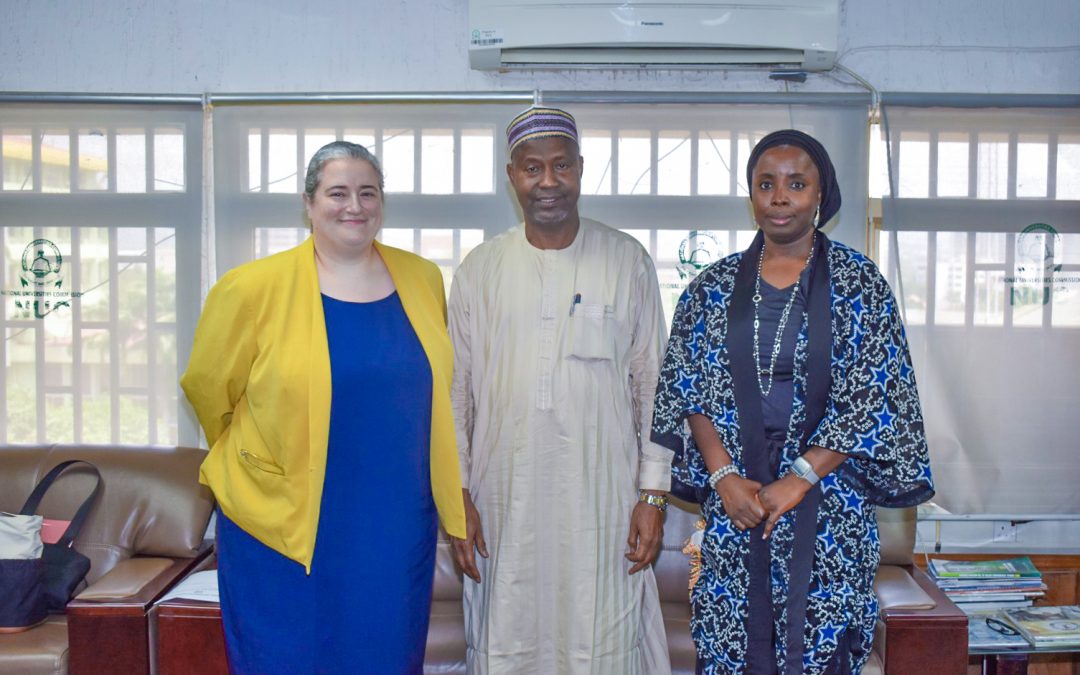 Prof. Ribadu Receives US Embassy Team